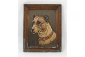 portrait of a dog,