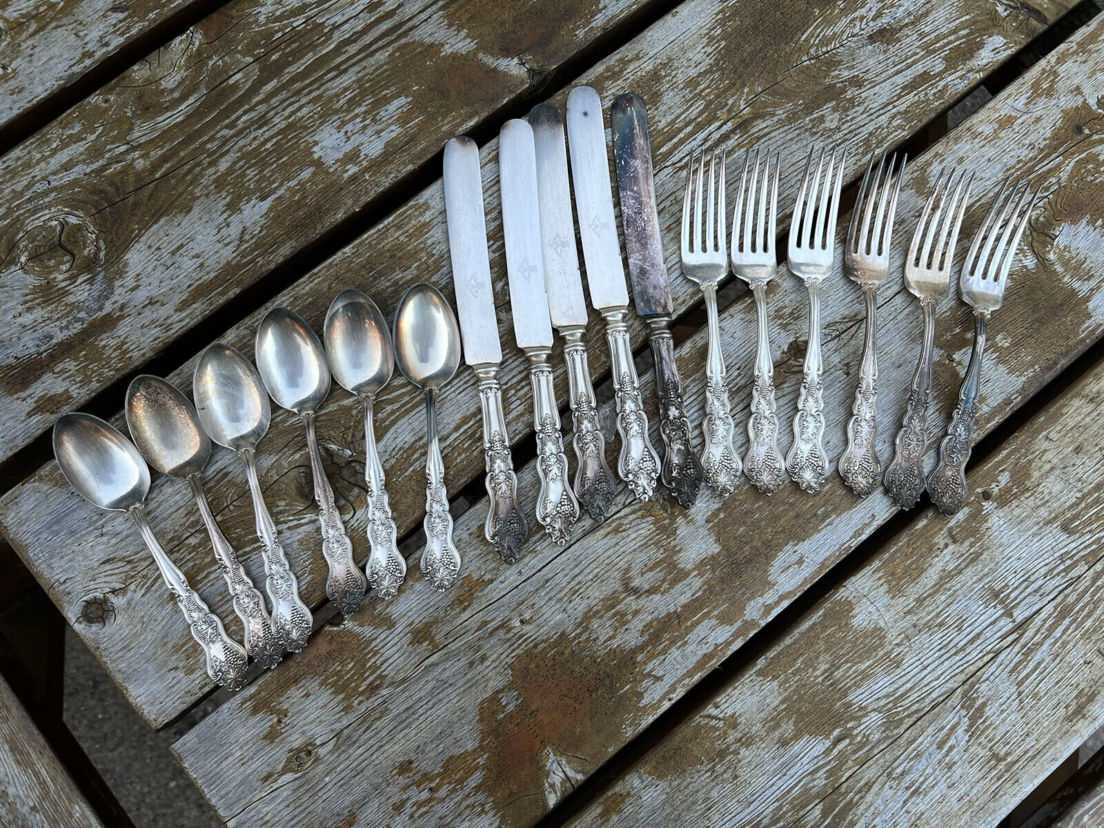 VTG Lot of 17 Flatware American Silver Co Grape Leaf Moselle Knives Spoons Forks