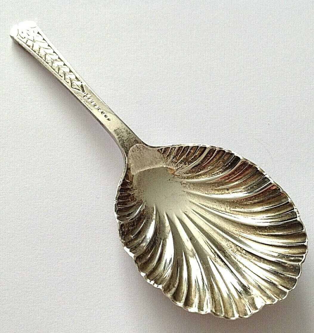 Antique shell silver caddy spoon hallmarked Sheffield 1885 Cooper Brothers