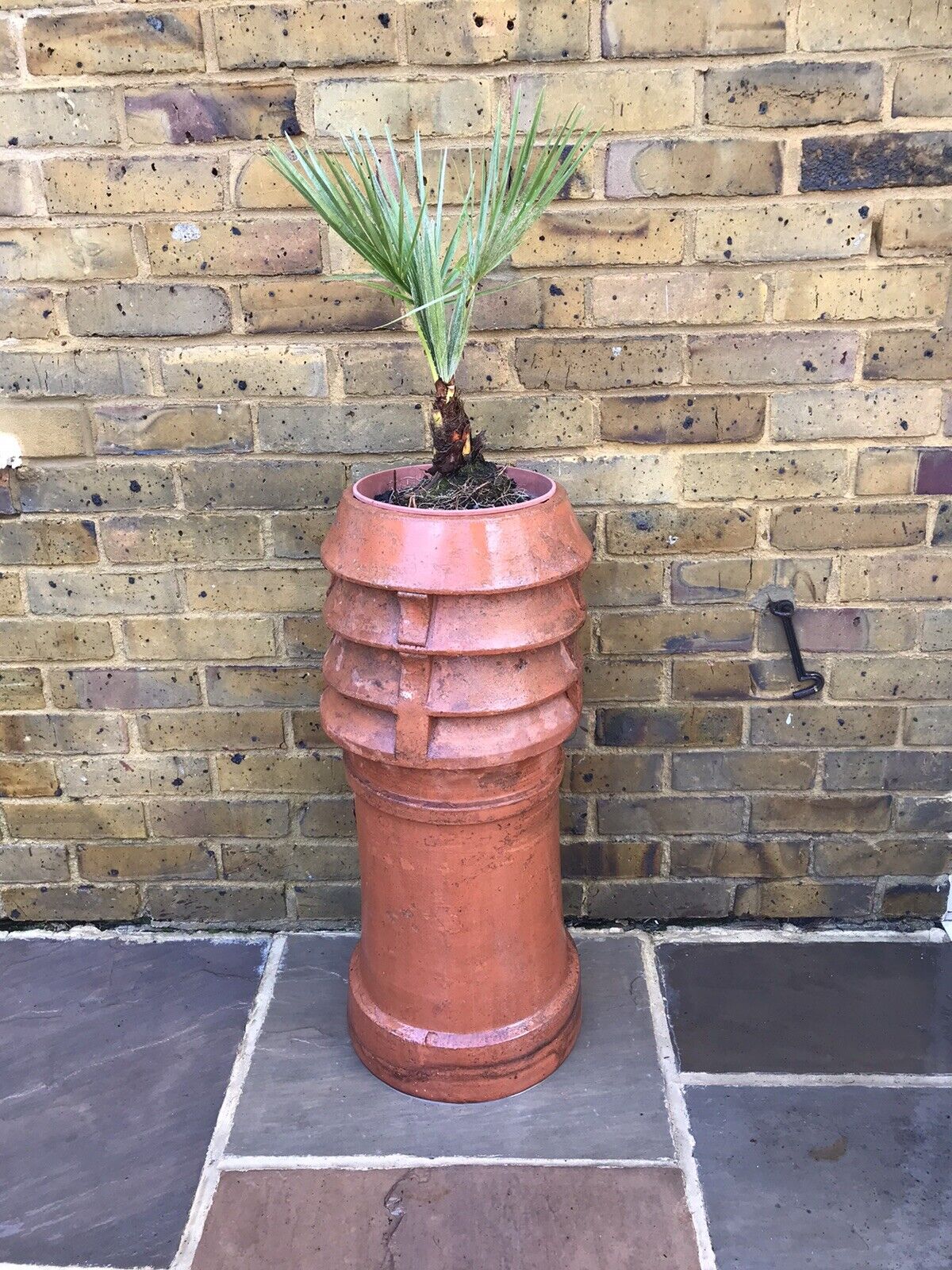 Antique Valuations: A Victorian terracotta louvre chimney pot