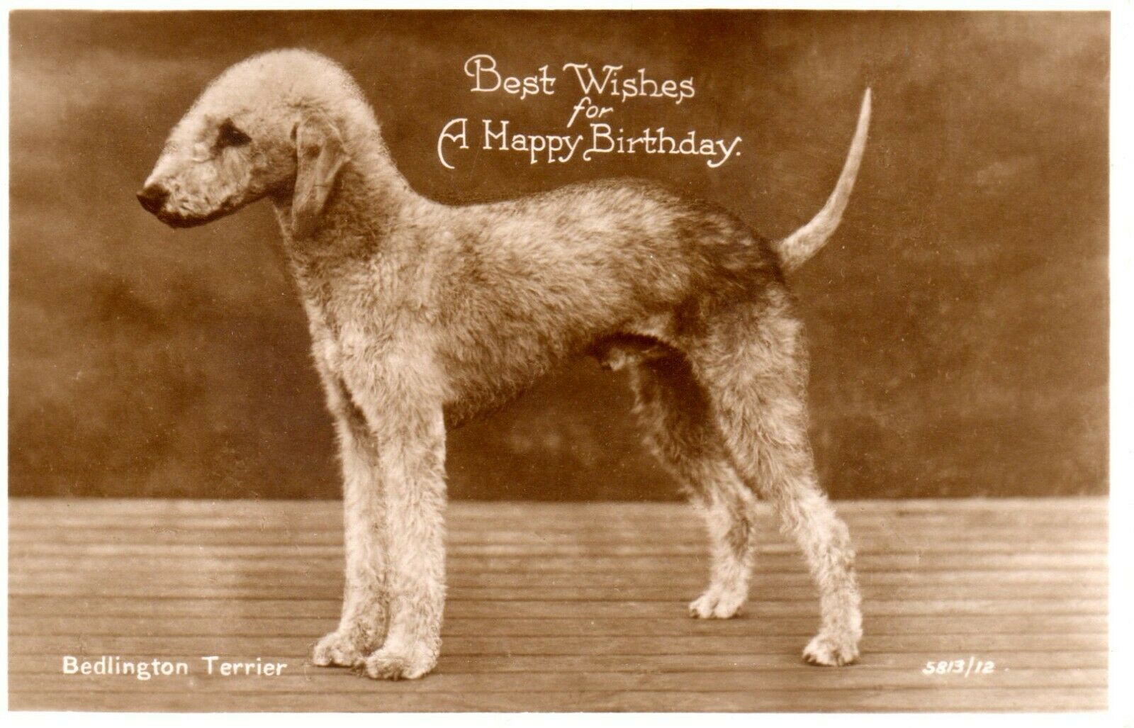 BEDLINGTON TERRIER - HAPPY BIRTHDAY c1950 RP DOG POSTCARD VGC