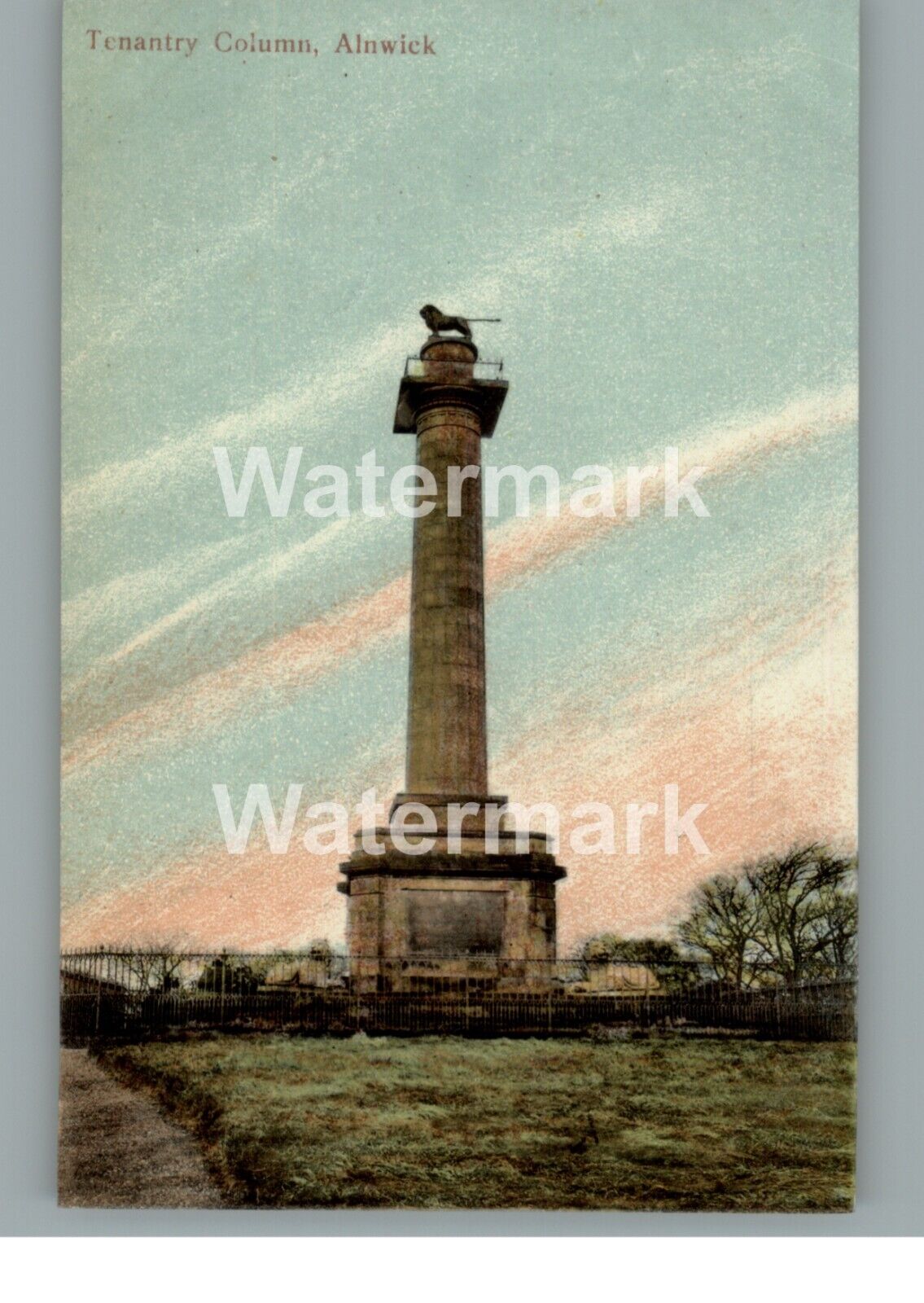 House Clearance - A1244. Alnwick. Tenantry Column. Local Publisher