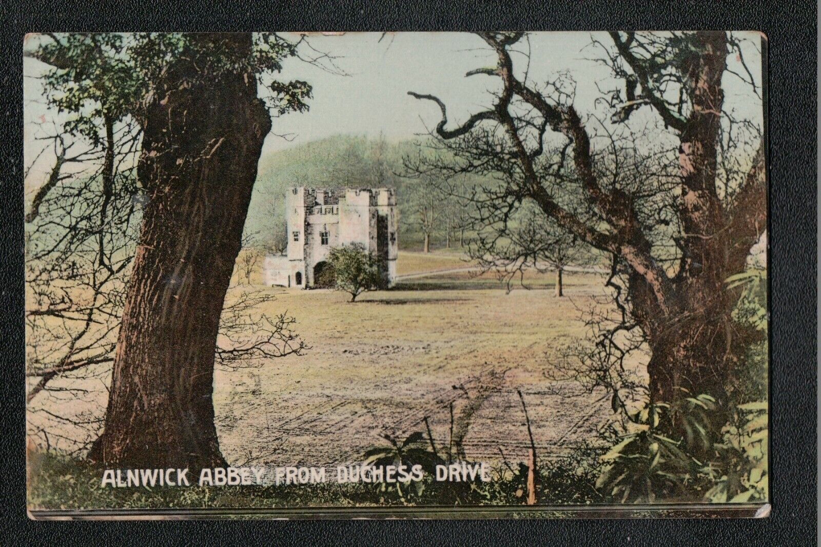 Alnwick Abbey From Duchess Drive 1900's? Service ~ Northumberland