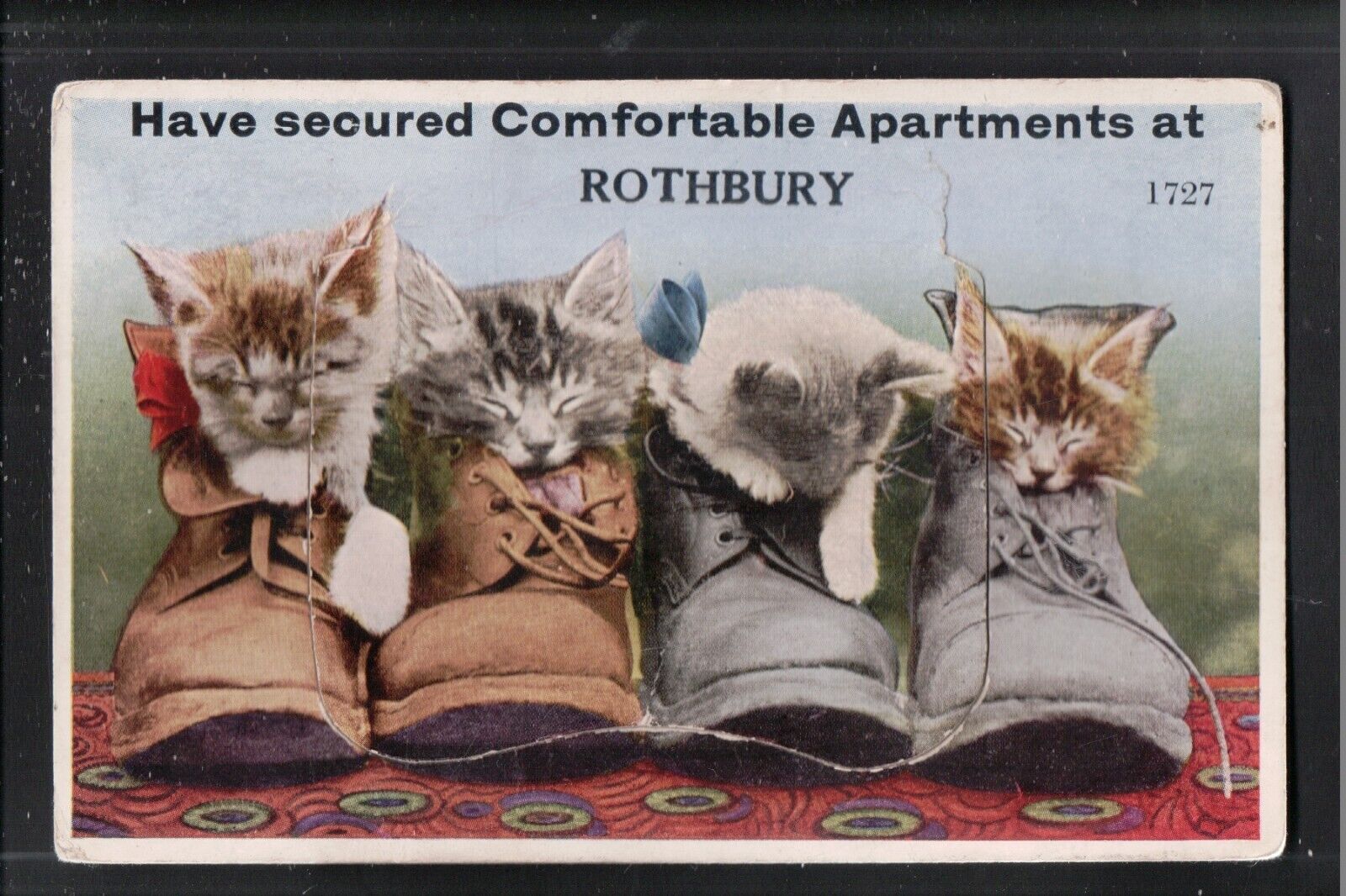 Have Secured Comfortable Apartments At ROTHBURY 1938 Mailing Novelty Service