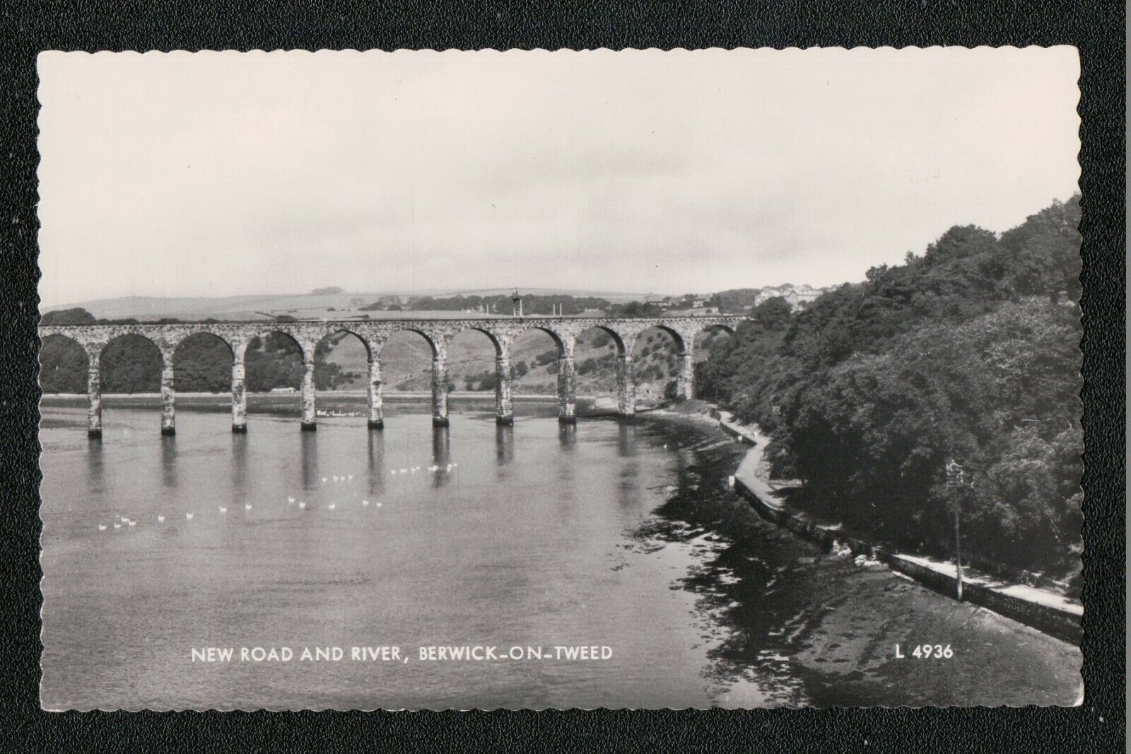 New Road and River Berwick Upon Tweed 1960's? RP Service