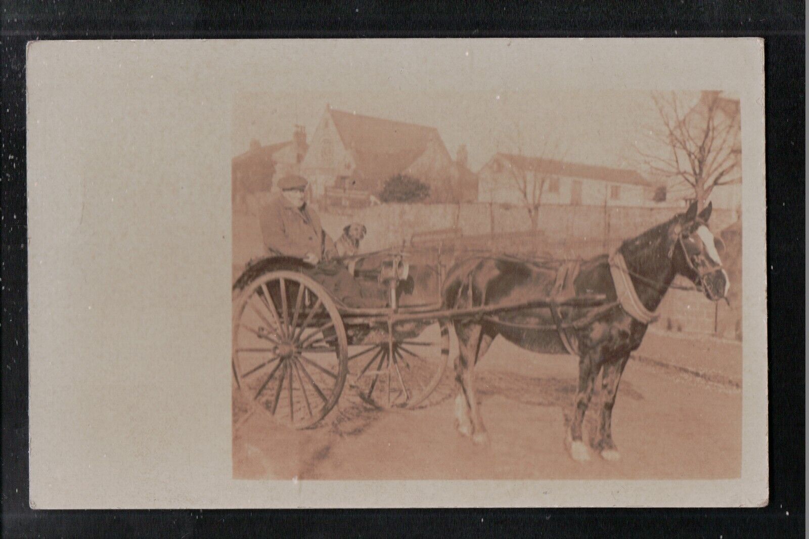 Horse and Cart 1900's J B Smithson Wensleydale Leyburn Service ~ Yorkshire