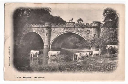 Antique service - Lion Bridge, Alnwick - Posted 1904