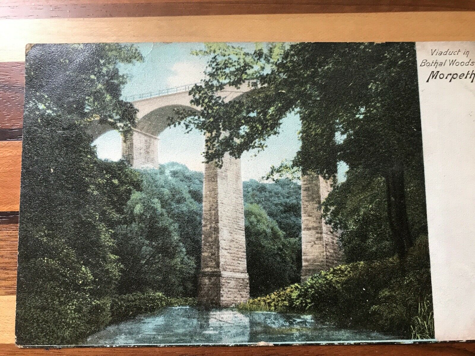 Morpeth.  Viaduct in Bothal Woods.  Edwardian Card
