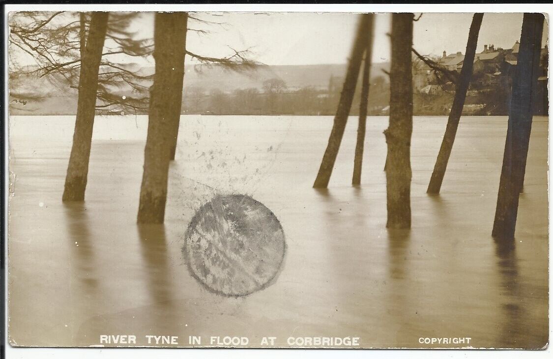House Clearance - Real Photo Service: River Tyne In Flood At Corbridge, Hexham 1910.