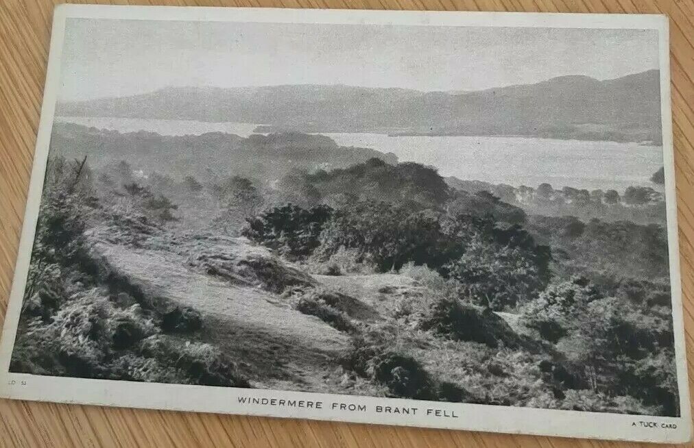 House Clearance - Vintage Service "Windermere From Brant Fell"