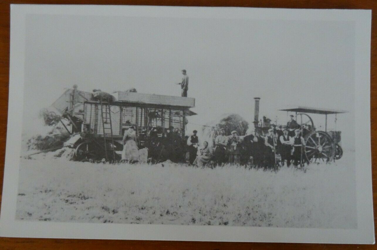 House Clearance - Northumberland County Record Office service. Threshing Scene, about 1910