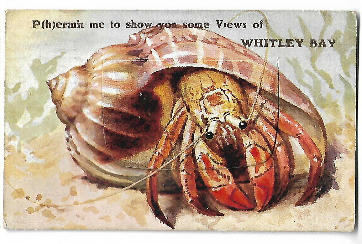 House Clearance - Artist Drawn Novelty View card 137 J Salmon Hermit Crab Whitley Bay