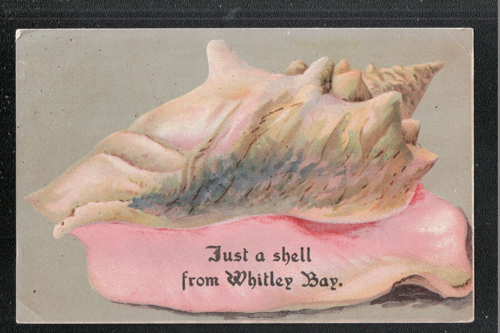 House Clearance - Just A Shell From WHITLEY BAY 1920's ? Service ~ Northumberland