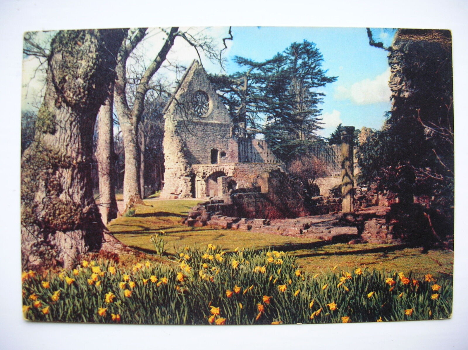 House Clearance - Dryburgh Abbey.  Near Melrose, Kelso etc.   (J Arthur Dixon)