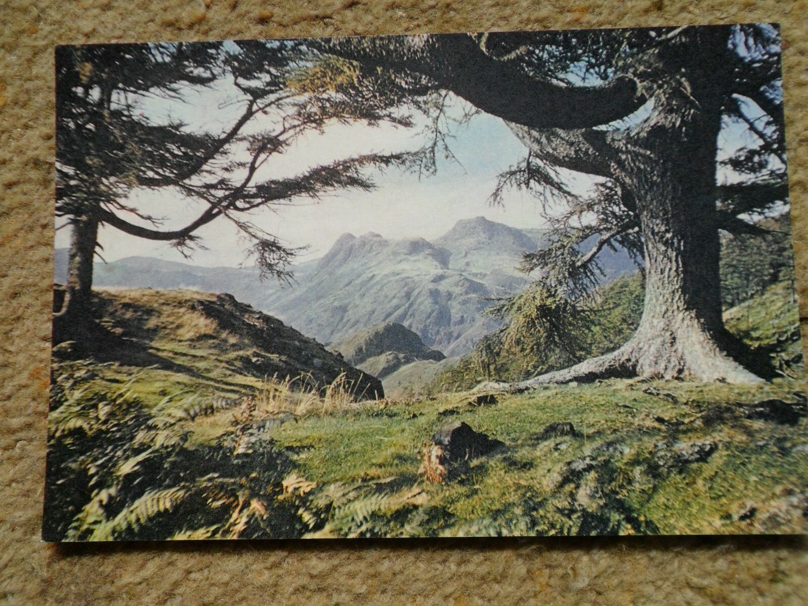 House Clearance - .J.ARTHUR DIXON.POSTCARD.LANGDALE PIKES FROM LINGMOOR FELL. NOT POSTED.