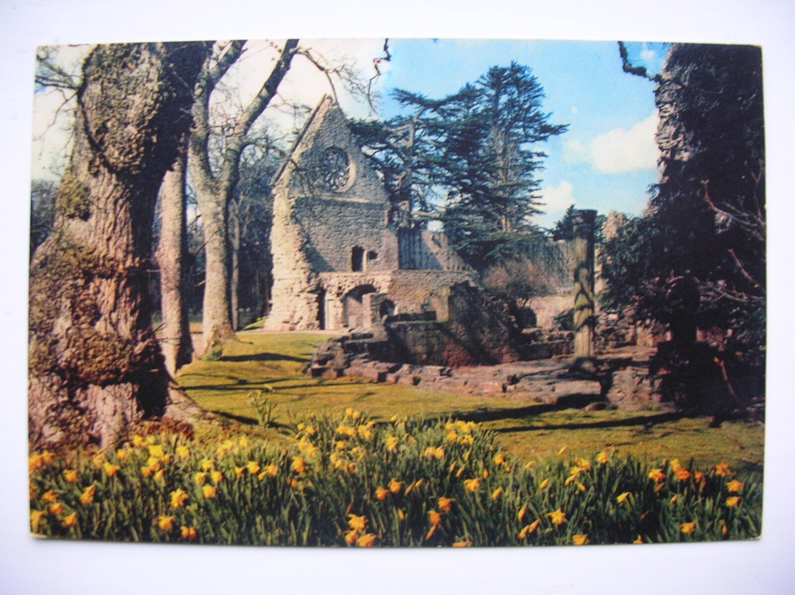 House Clearance - Dryburgh Abbey. Nr Melrose, Kelso etc. (J Arthur Dixon)