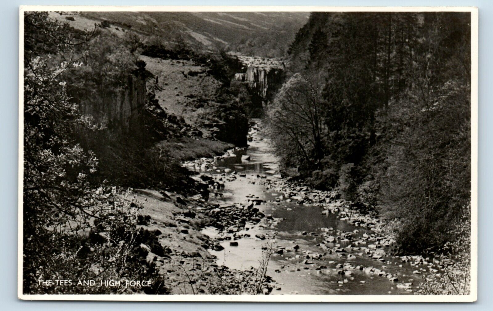 House Clearance - POSTCARD THE TEES AND HIGH FORCE Middleton-in-Teesdale DURHAM