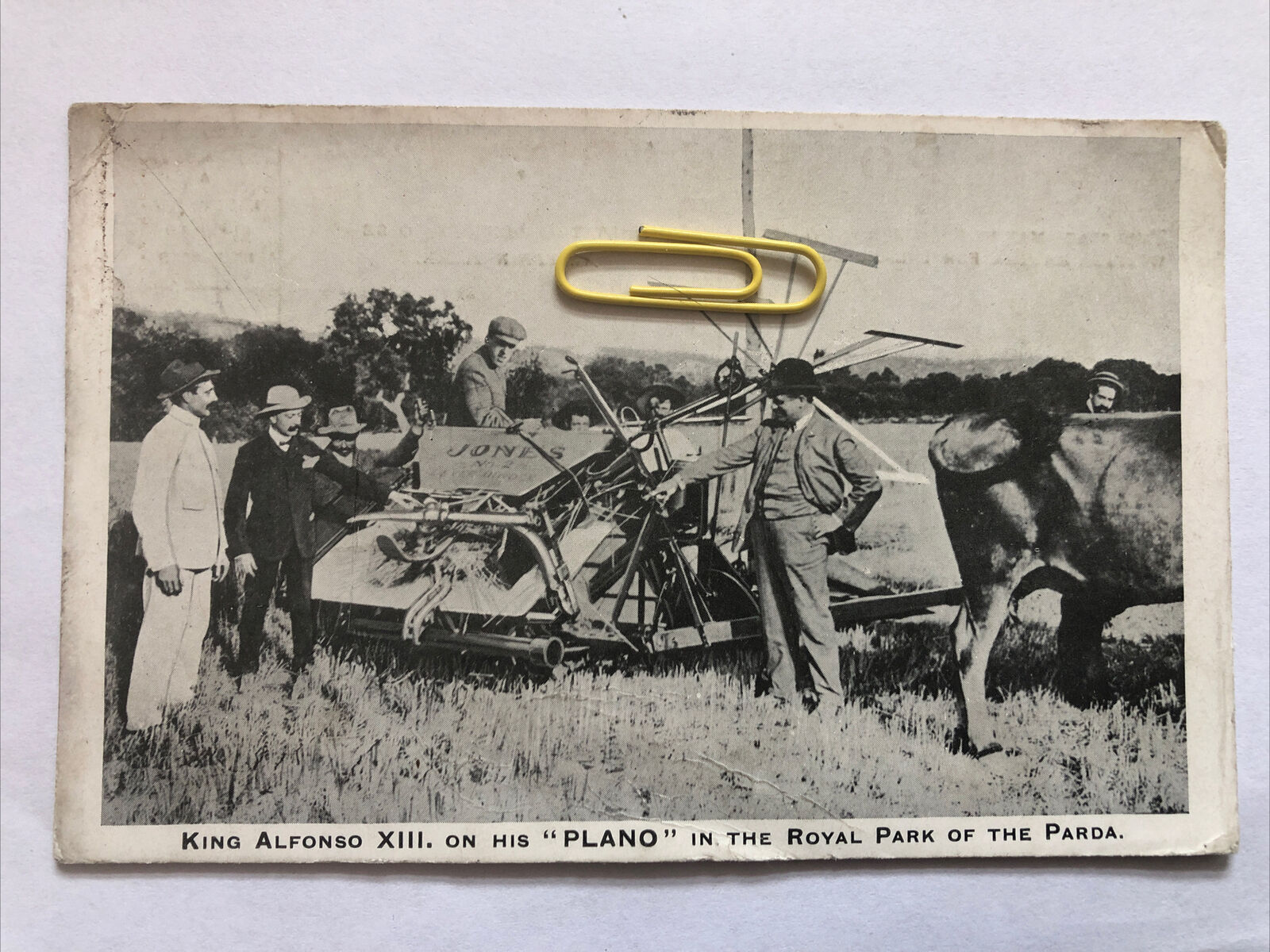 House Clearance - King Alfonso XIII On His ‘PLANO’ Royal Park Of The Parda 1900’s Post Darlington