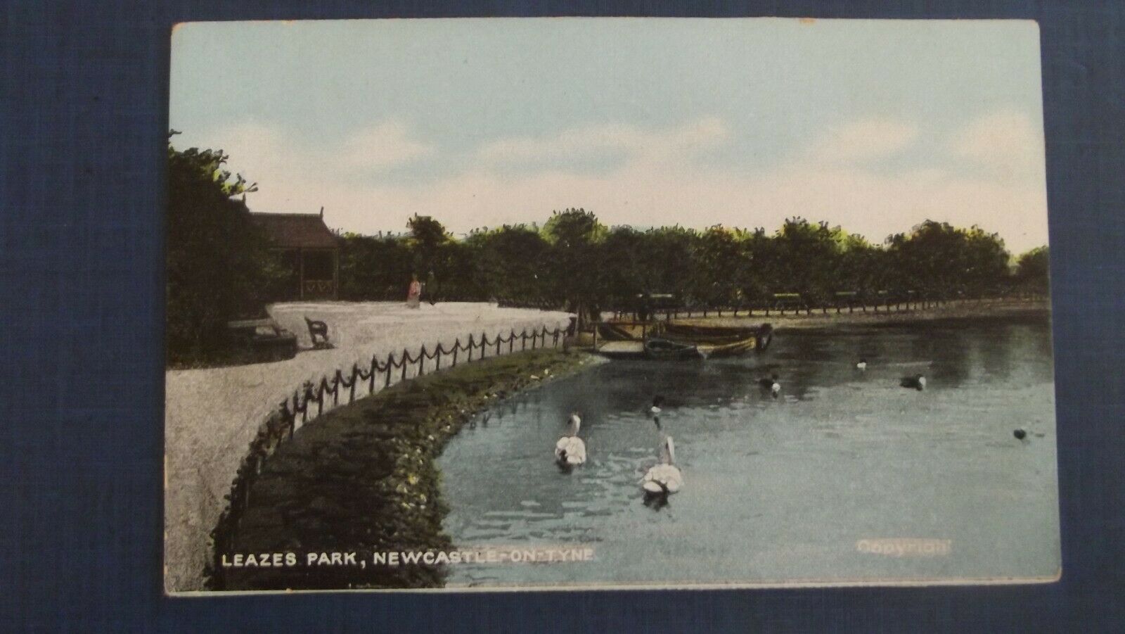 House Clearance - Newcastle upon Tyne Leazes Park Pond GD&D P/card c 1910 Unposted