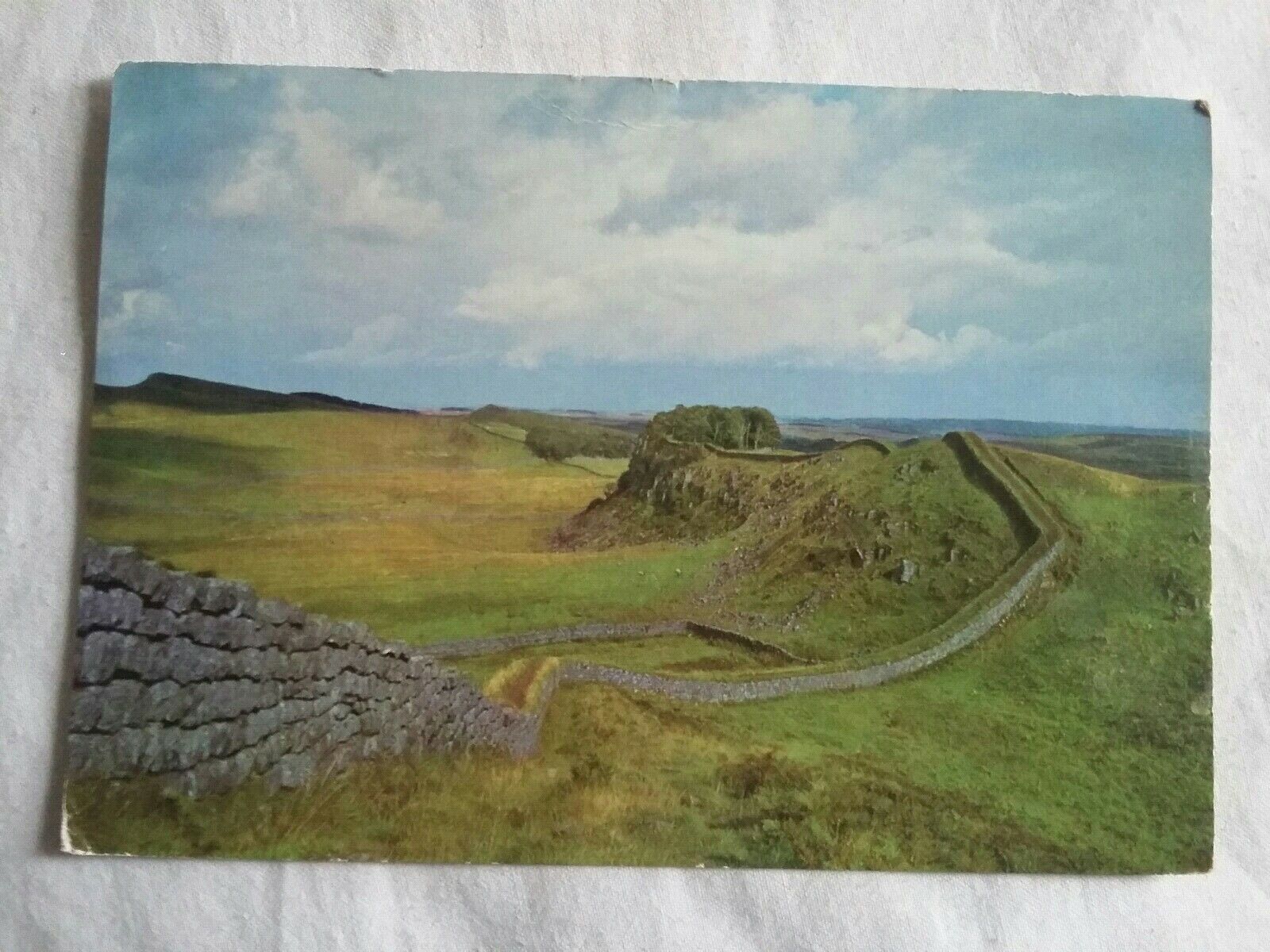 House Clearance - Housesteads Roman Fort. Northumberland Service