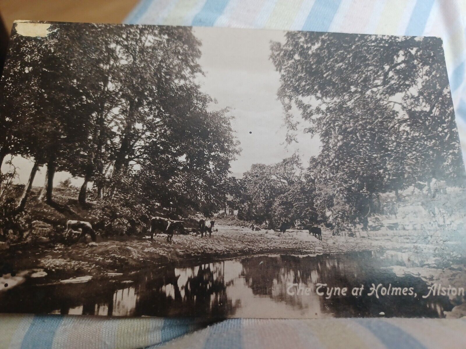 House Clearance -  Vintage Service The Tyne at Holmes, Alston. Postal date 1915