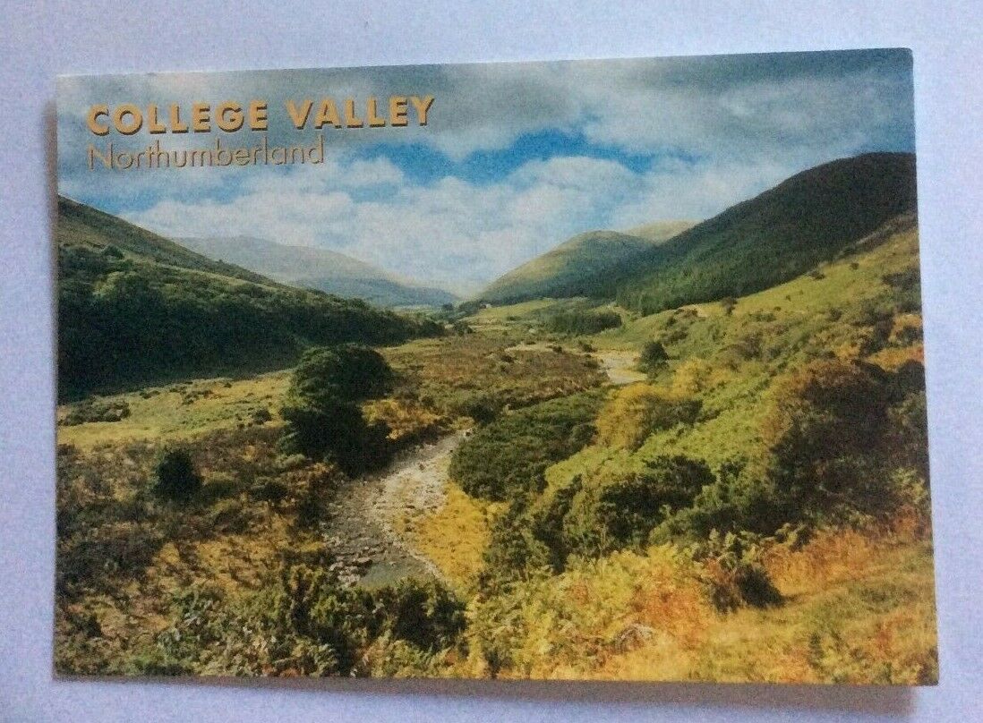House Clearance - POSTCARD COLLEGE VALLEY NORTHUMBERLAND