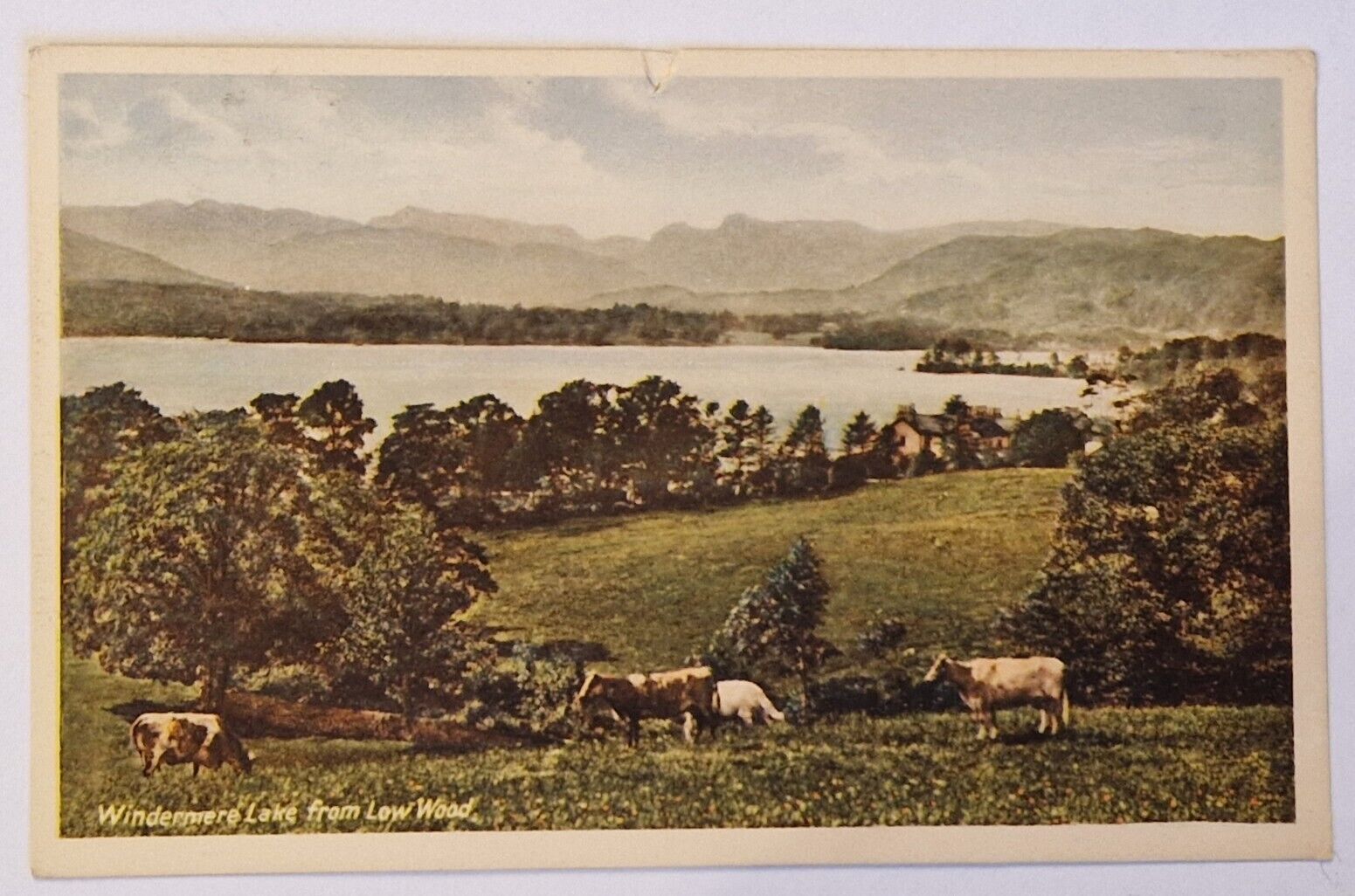 House Clearance - VINTAGE POSTCARD - WINDERMERE FROM LOW WOOD - LAKE DISTRICT