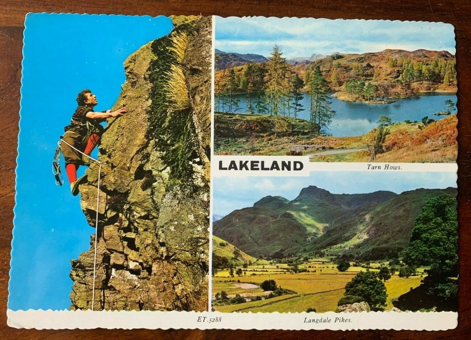 House Clearance - Vintage Service Real Photo - Lakeland - The Lake District - Colour - Unposted