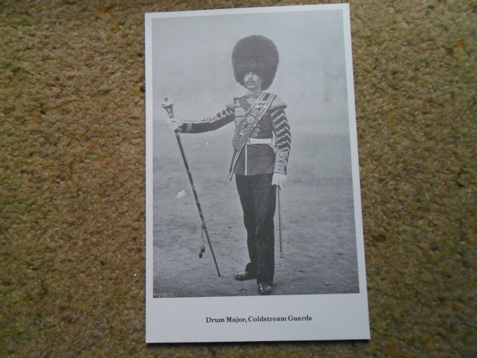 House Clearance - ..BLACK & WHITE.POSTCARD.  DRUM MAJOR COLDSTREAM GUARDS..  NOT POSTED